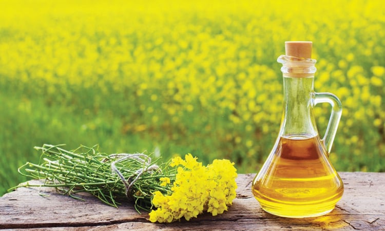 Mustard oil has anti-bacterial properties