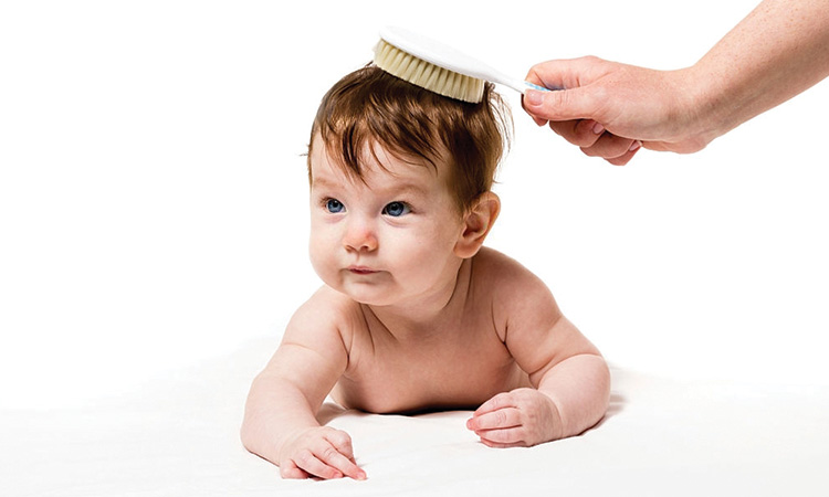 What Are The Hair Growth Stages Of The Baby