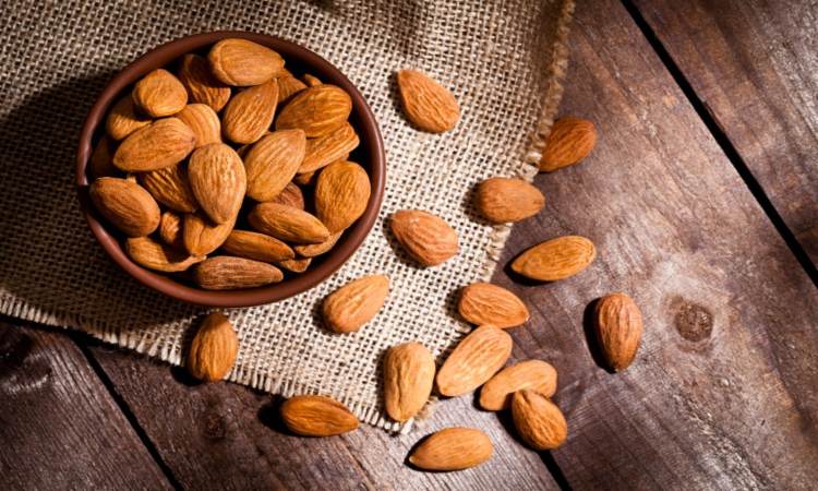 Almonds During Pregnancy
