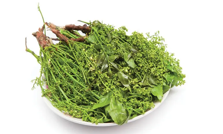 Is It Safe To Eat Neem During Pregnancy