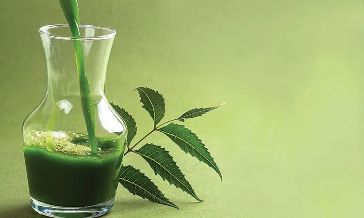 Precautions To Take When Using Neem During Pregnancy