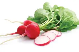 Radish During Pregnancy - Is It Safe