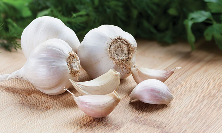 Using garlic for fertility – Potential side effects