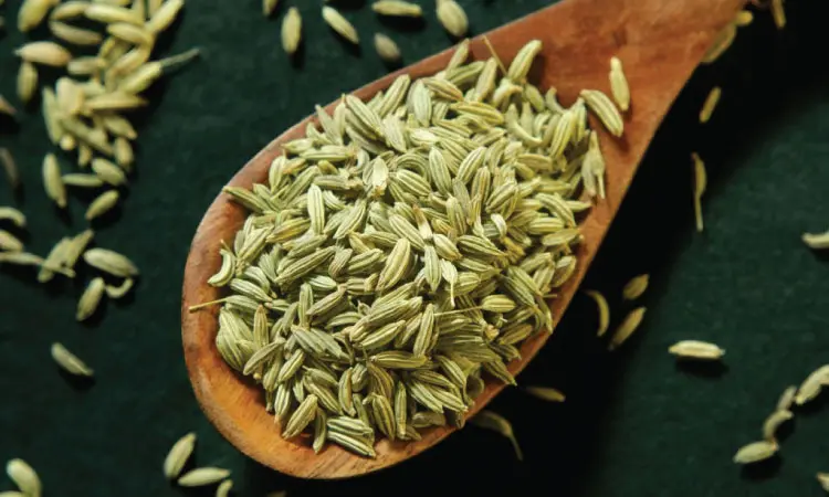 How Much Fennel Seed Should I Eat Per Day
