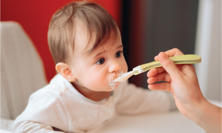 Best Foods For Baby Brain Development