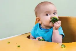 All About Broccoli For Babies- Nutrition, Age, Benefits And Risk