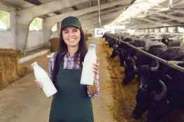 Buffalo Milk For Babies- Benefits Risks And Precautions