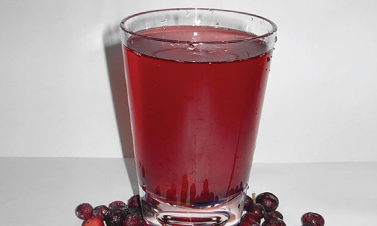Are There Any Side Effects Of Eating Falsa During Pregnancy