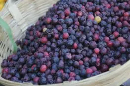 Everything You Need To Know About Falsa During Pregnancy