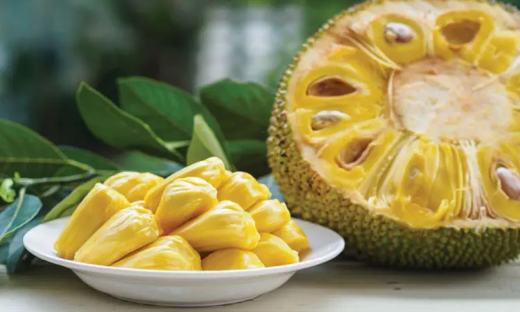 Risks And Precautions Of Consuming Jackfruit During Pregnancy