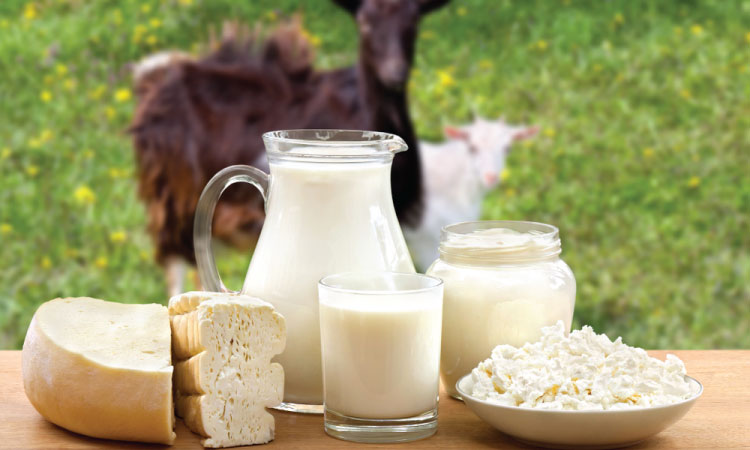 Risks And Precautions To Take When Feeding Goat Milk To Babies