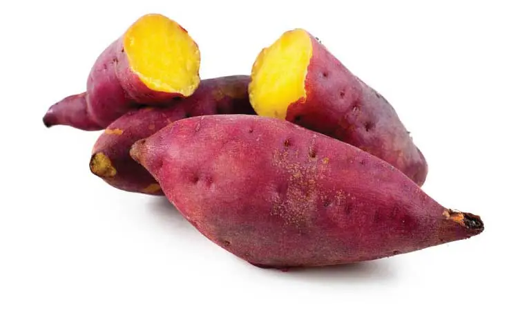 What Are The Benefits Of Eating Sweet Potatoes During Pregnancy