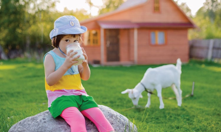 What Are The Benefits Of Goat Milk For Kids