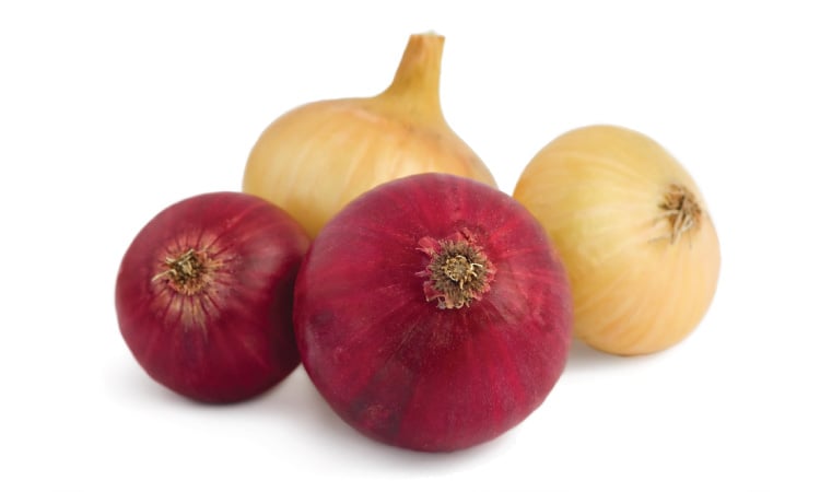 Which Onion Is More Beneficial During Pregnancy