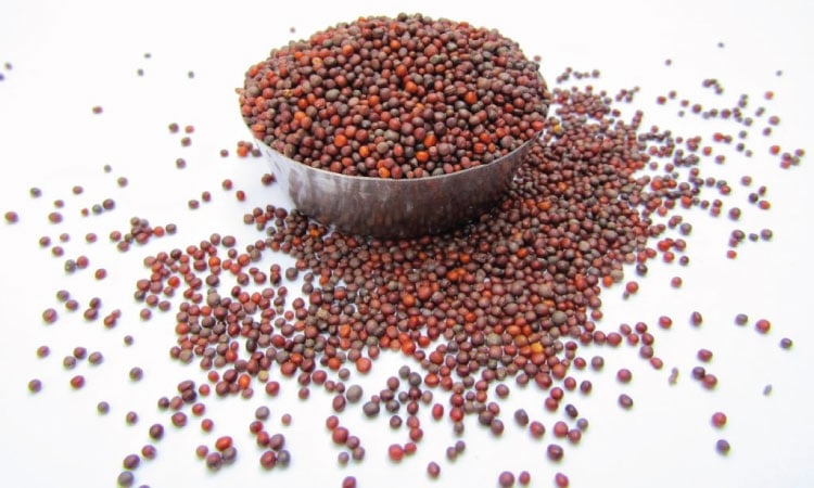 What Are The Benefits Of Mustard Seeds Pillow For Babies