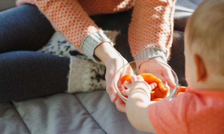 Are Dried Fruits Good For Babies