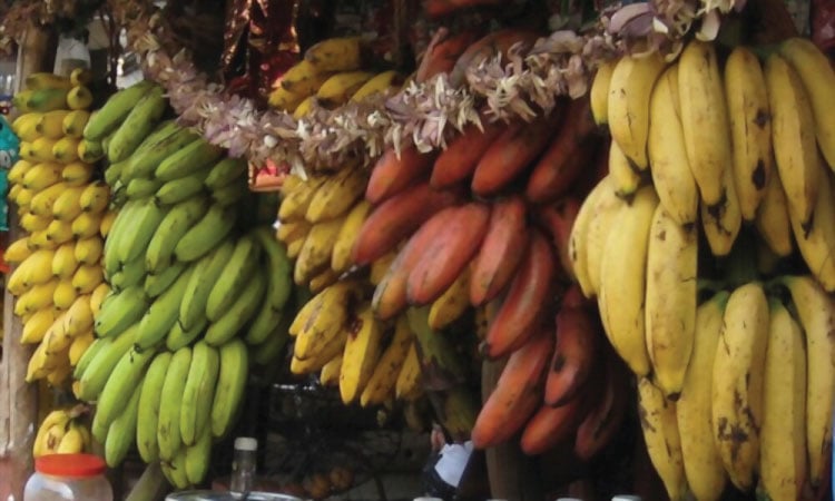 Common Varieties Of Bananas And Its Benefits During Pregnancy