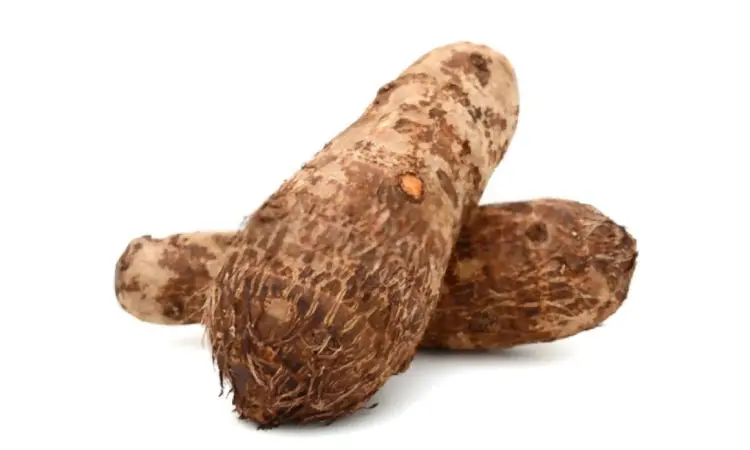 Top 12 Benefits Of Eating Yams During Pregnancy