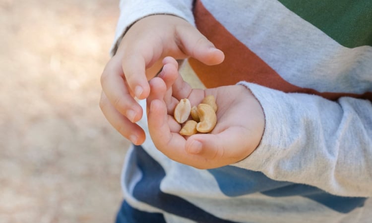 What is the right time of the day to give dried fruits and nuts to children