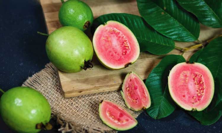 Risks And Precautions Of Eating Guava During Pregnancy