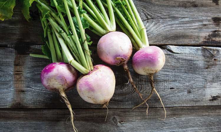 Risks And Precautions Of Eating Turnip During Pregnancy
