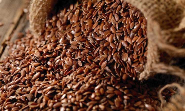 Benefits Of Consuming Flax Seeds For Pregnant Women