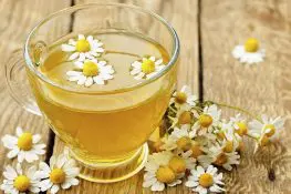 Can I Drink Chamomile Tea While Pregnant- All You Need To Know