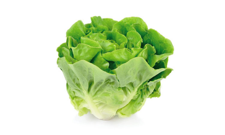 Choosing The Right Lettuce When Pregnant