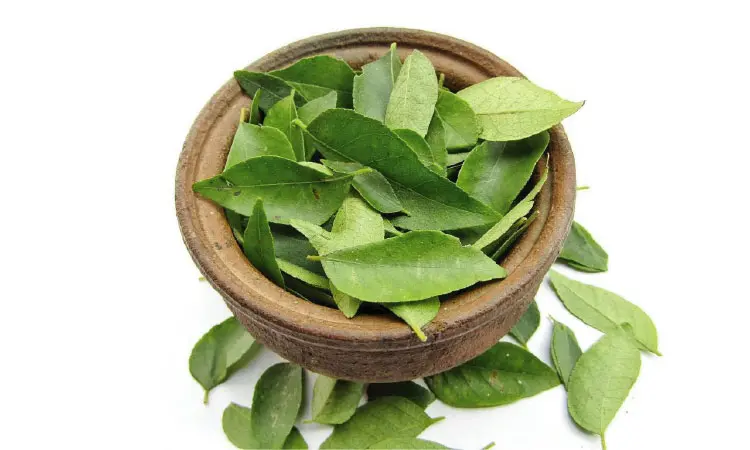 Incredible Uses Of Curry Leaves During Pregnancy