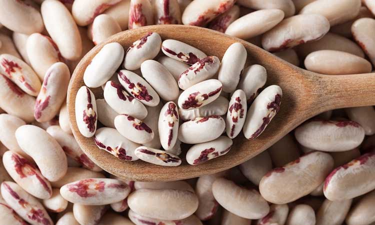 Risks And Precautions While Eating Beans During Pregnancy