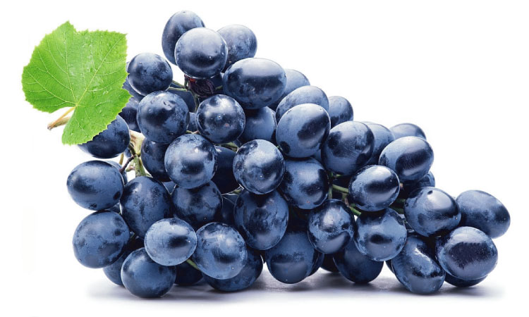 8 Reasons Black Grapes Should Be Avoided During Pregnancy