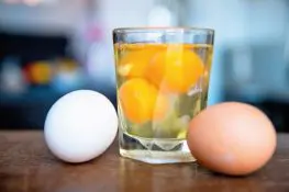 Scientific Reasons To Not Eat Raw Eggs During Pregnancy