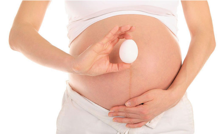 What Can Raw Egg Do To An Unborn Baby