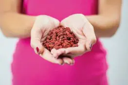 Goji Berries During Pregnancy- Benefits, Risks, And Precautions
