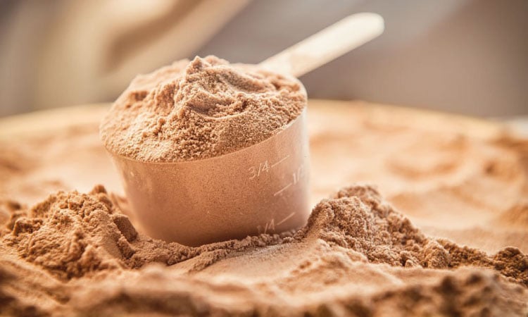 What Is Protein Powder