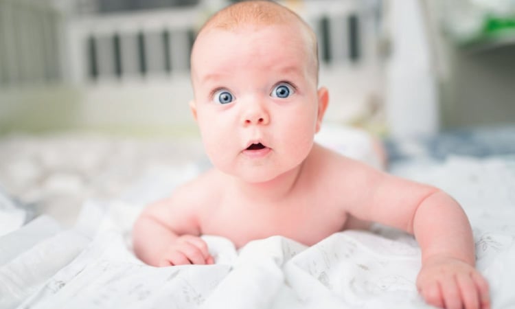 What Causes Startle Reflex In New-Borns