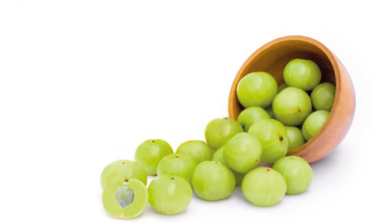 How Does Eating Amla Benefits In Pregnancy