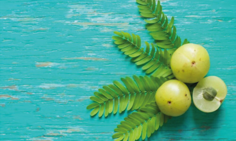 Possible Side-effects Of Eating Amla During Pregnancy