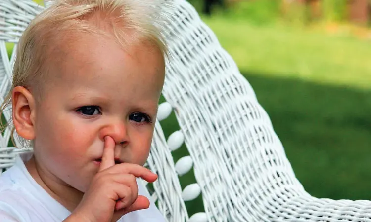 https://parenting.miniklub.in/wp-content/uploads/2022/08/Risk-Of-Nose-Picking-In-Toddlers.jpg
