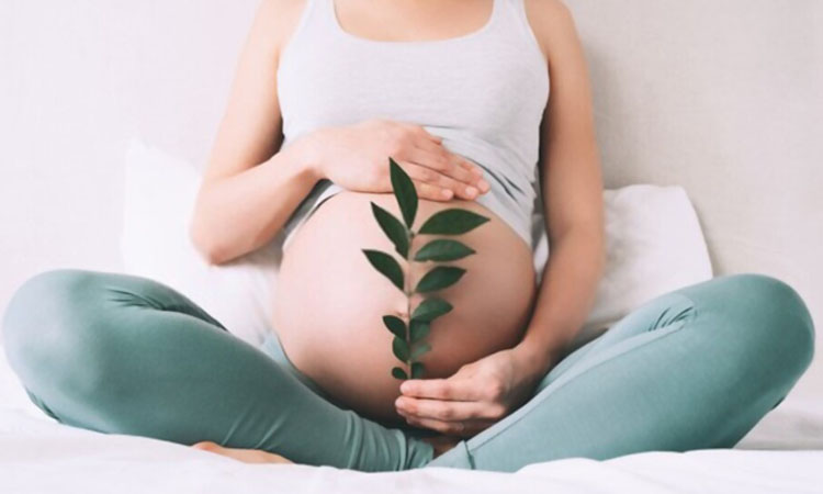 Is Triphala Safe During Pregnancy?