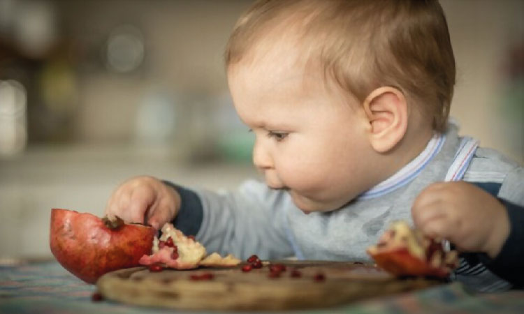 pomegranate is a great addition to a baby's diet
