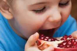 When And How To Introduce Pomegranate To Babies