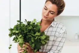 Coriander Leaves During Pregnancy - Are They Safe?