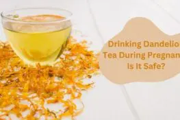 Drinking Dandelion Tea During Pregnancy (1)