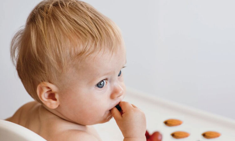 When Can You Introduce Almonds To Your Baby